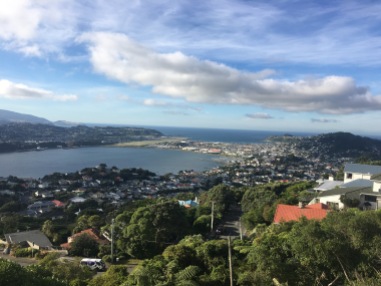 View of Wellington from the top of Mt. Victoria
